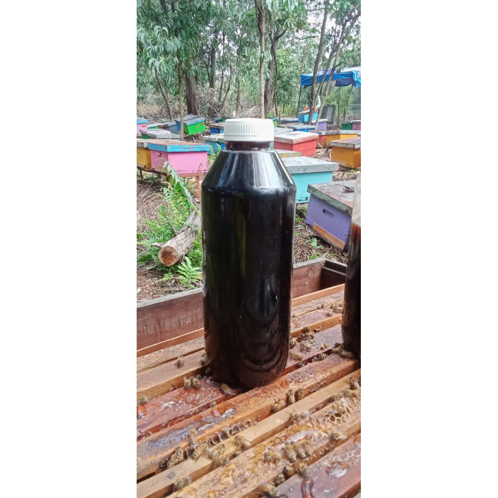 

MADU ASLI DARI HUTAN AKASIA RIAU