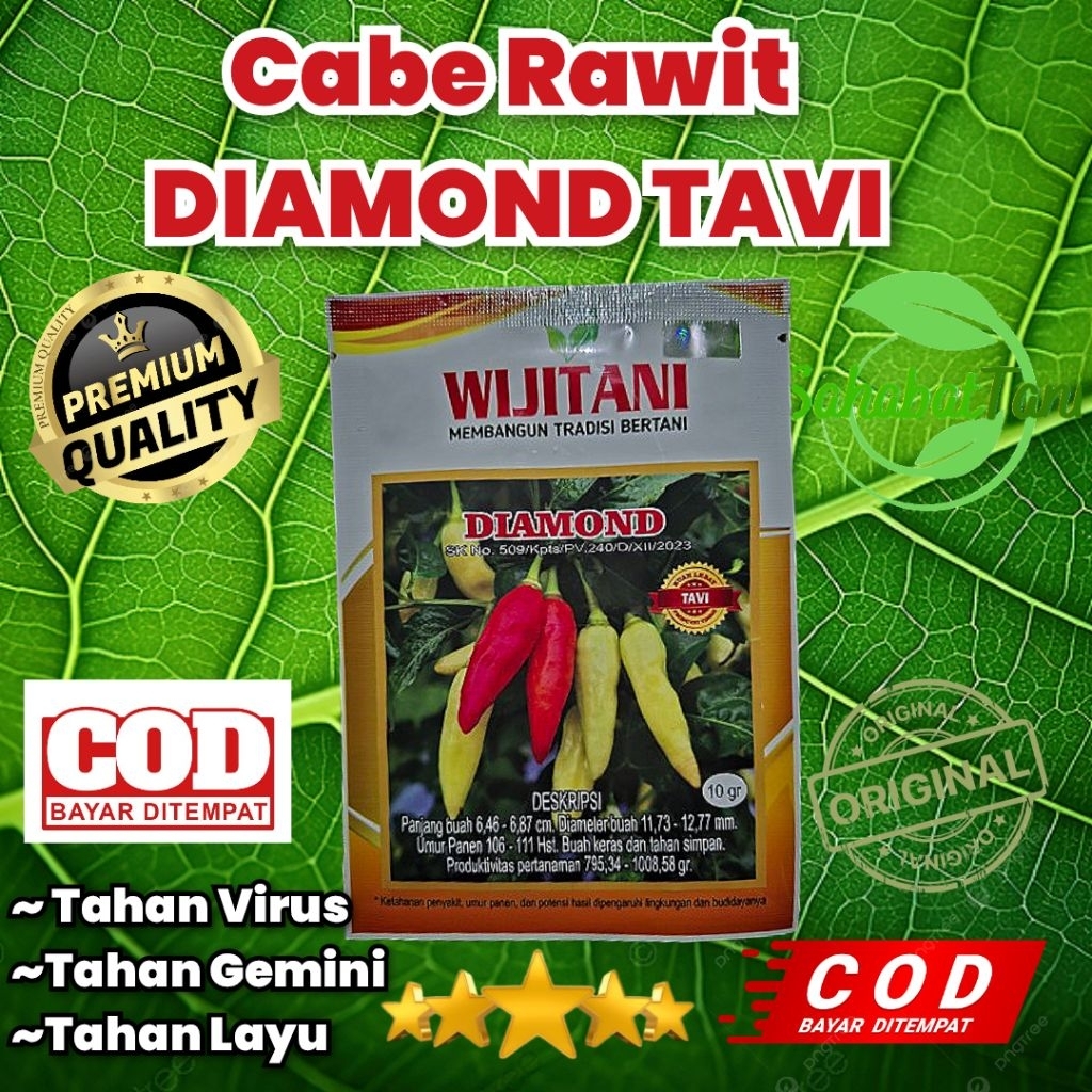 

Cabe Rawit Diamond Tavi 10gr, cabe rawit tahan virus ,tahan kuning dan gemini,mudah perawatannya