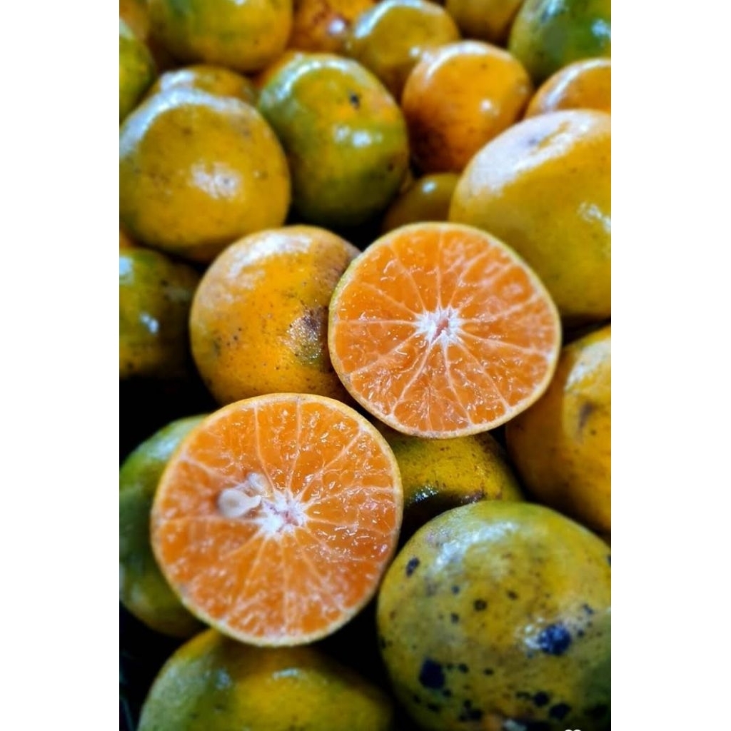 

Jeruk Peras Pontianak 1kg / Jeruk Peras Siam grade AB