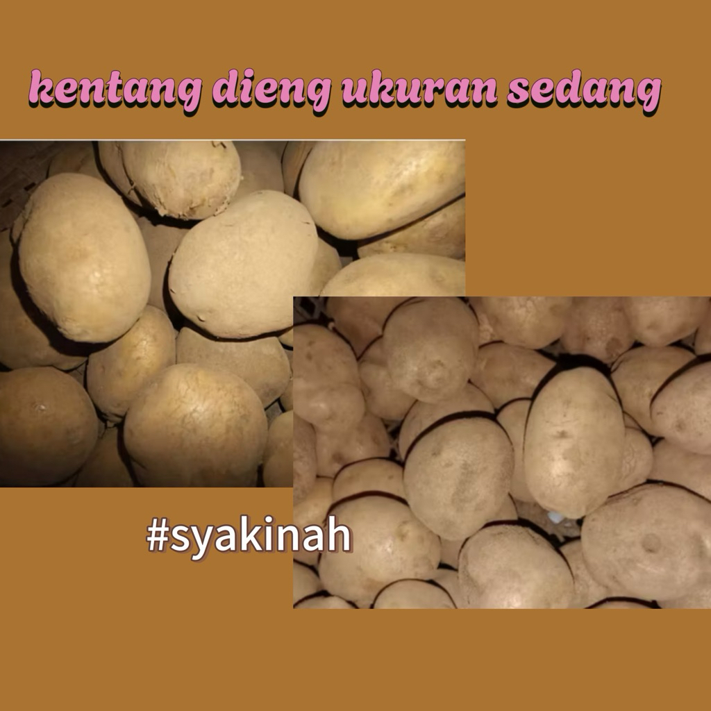 

KENTANG DIENG UKURAN SEDANG 1 KG