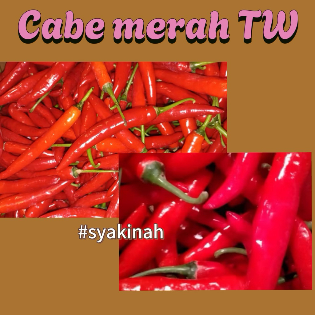 

Cabe / Cabai merah tw fresh 1 kg pilihan