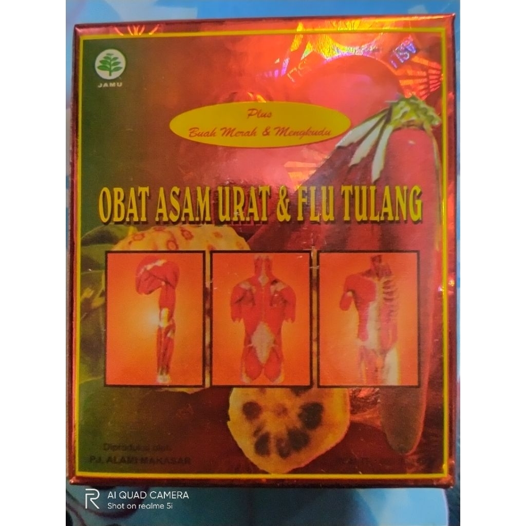 

asam urat dan flu tulang