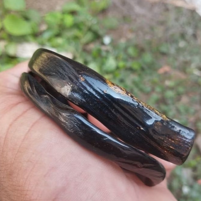 akar bahar hitam berserat