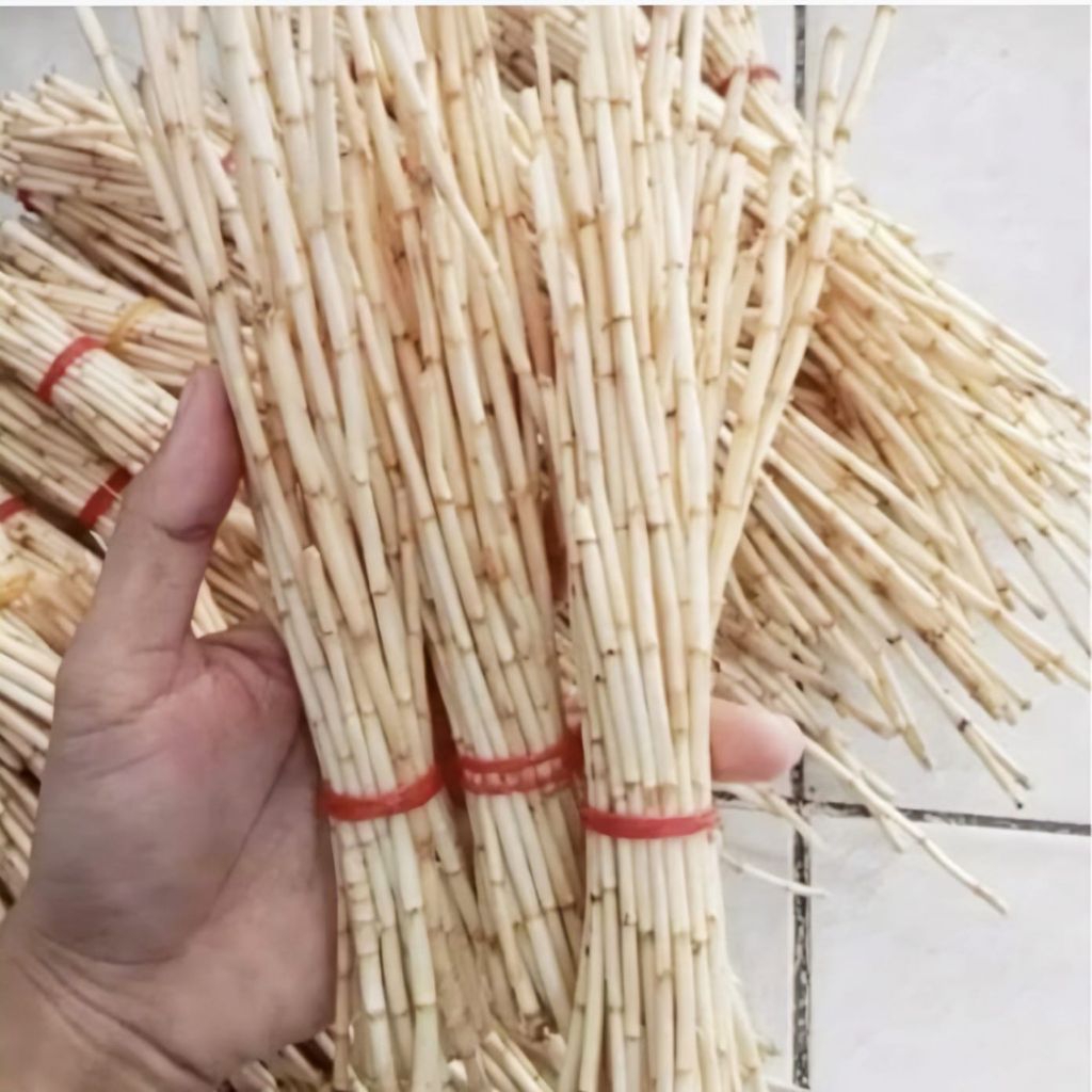 

akar alang alang segar isi 1 kg