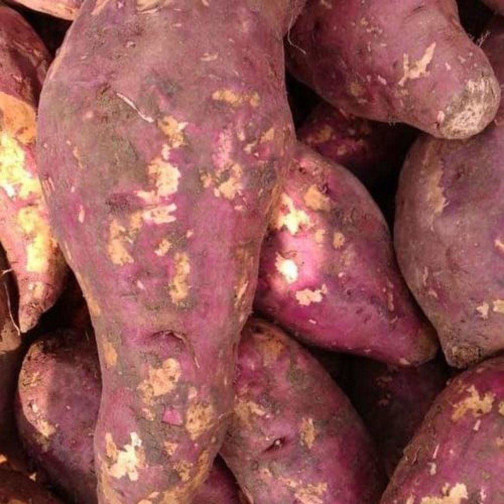 

ubi jalar putih & ubi jalar merah