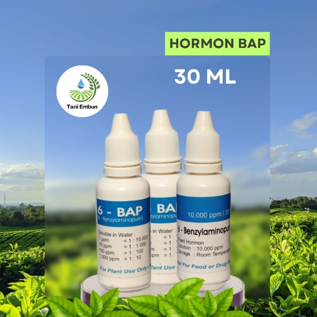 Hormon BAP/6-BAP BENZYL AMINO PURIN 10.000 ppm 30 ML original