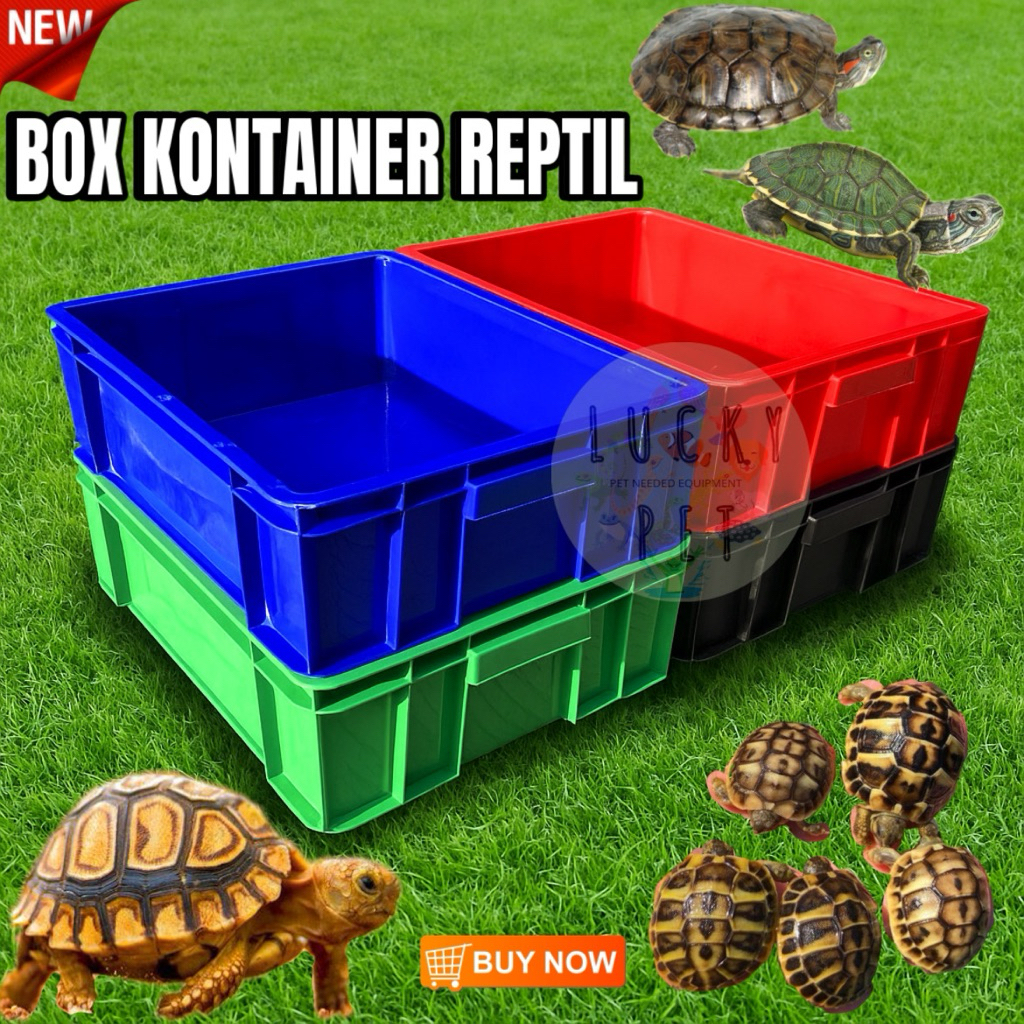 Box kontainer kura kura kotak kandang kura kura darat air sulcata brazil reptil reptile container bo