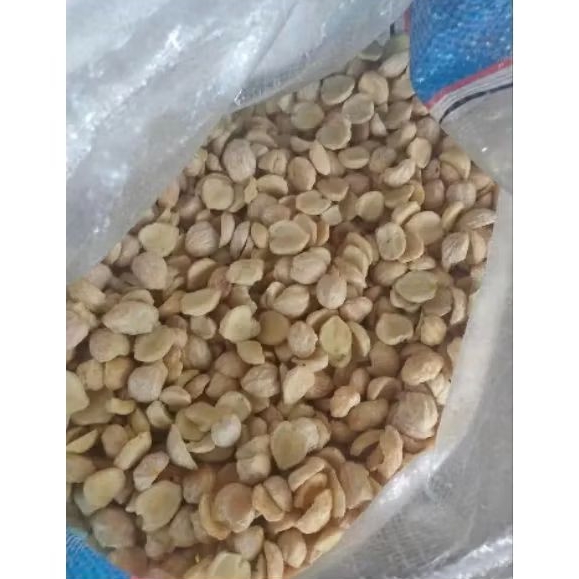 

Kemiri kualitas super