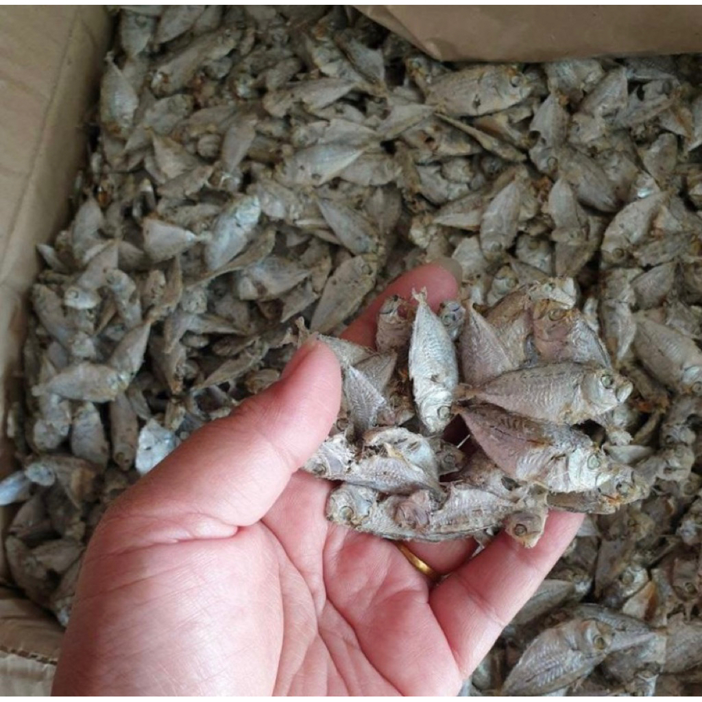 

ikan asin Petek/ bondolan isi 500 gr