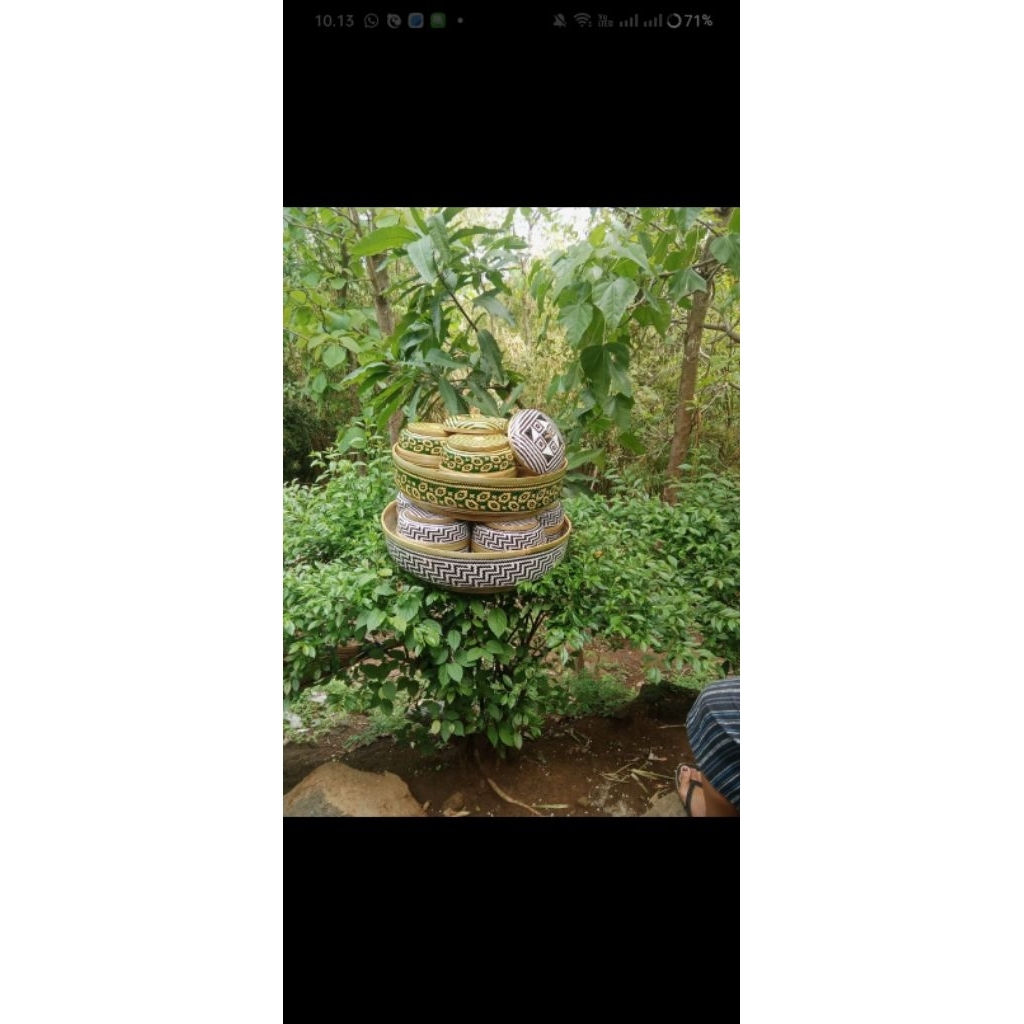 bokor beranak (costum nama)