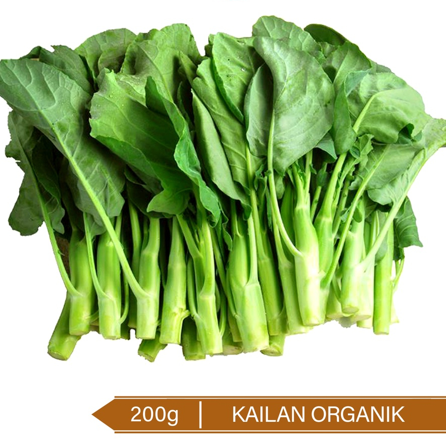 

Kailan Organik / Organic Chinese Broccoli 200g