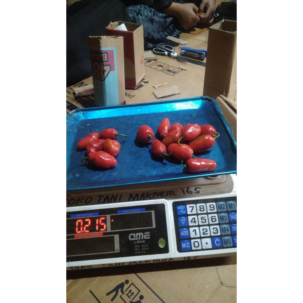 

cabai gendot merah 100 gram - bisa untuk benih