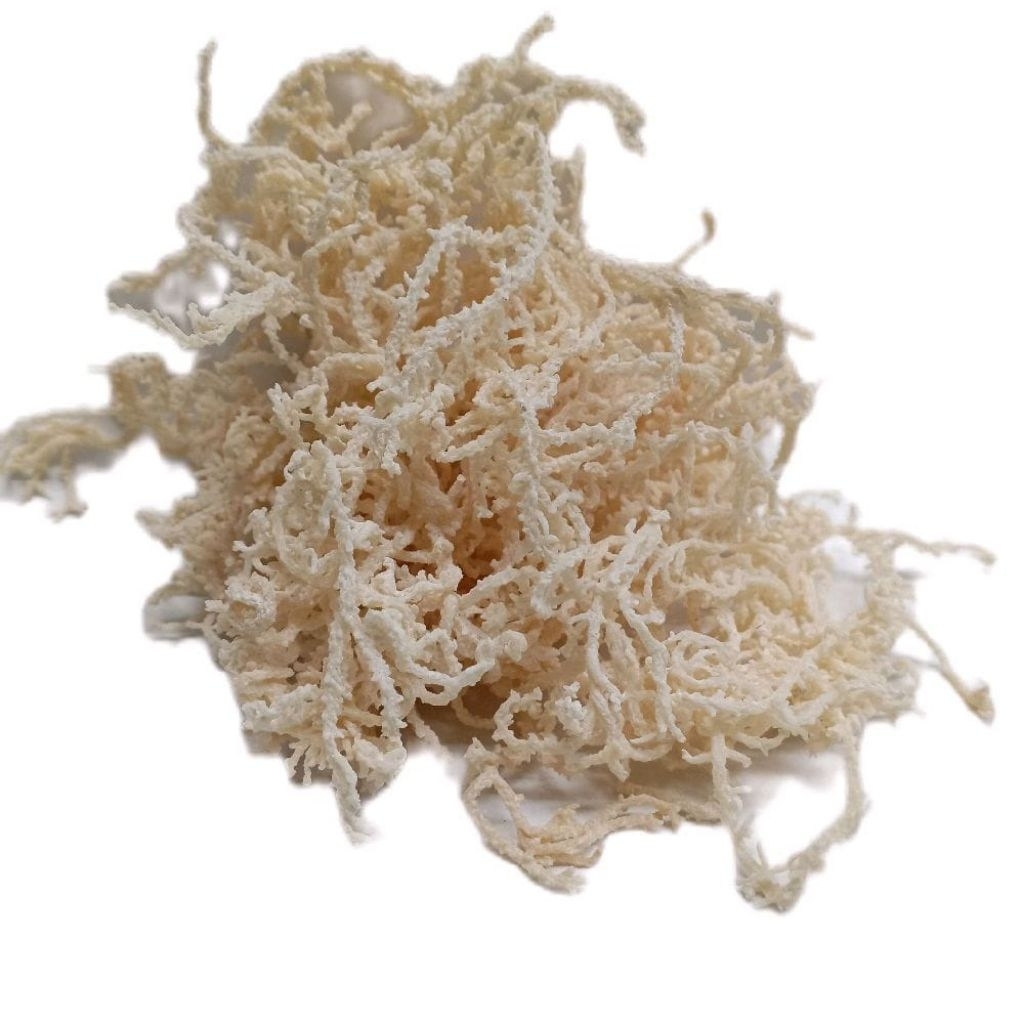 

Rumput Laut Kering Untuk Es Campur 1kg