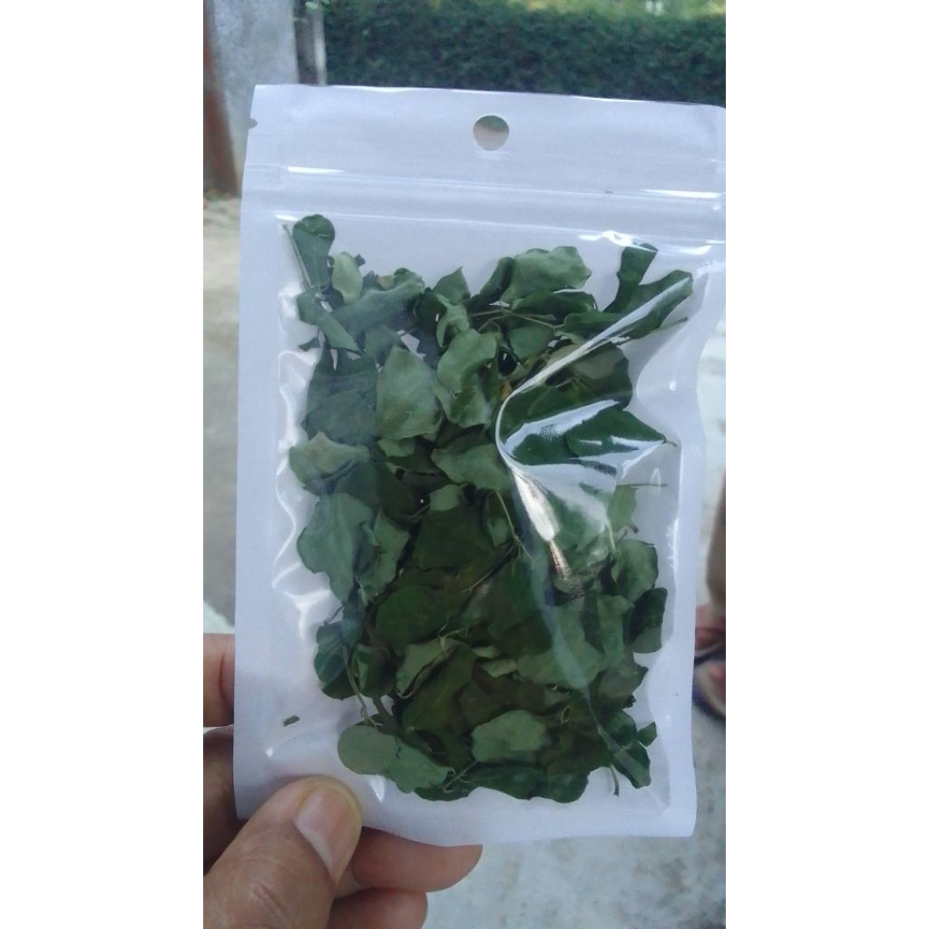 

daun kelor