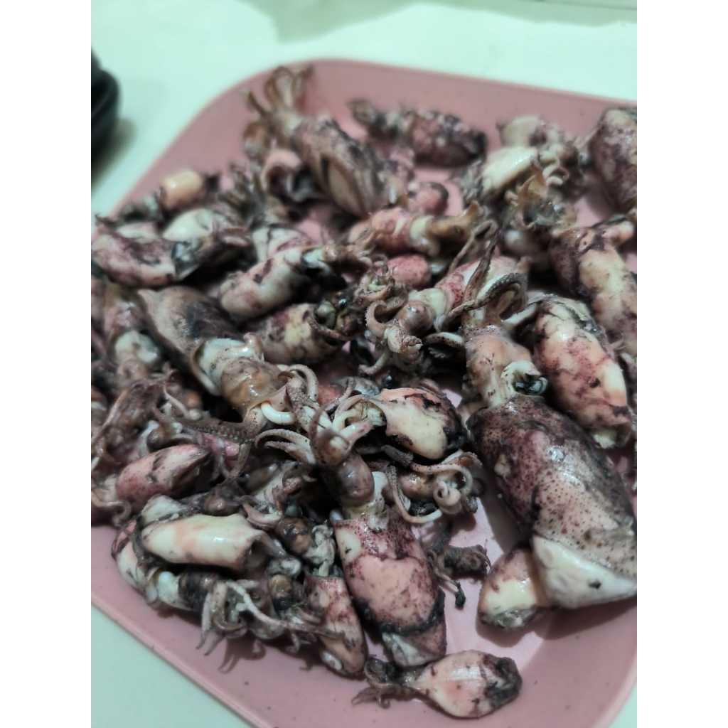 

Baby Cumi Asin / Cumi Asin Mini Kemasan Praktis