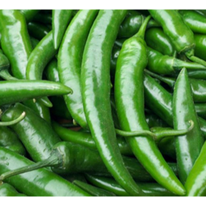 

cabe tanjung hijau | JBP_Fresh