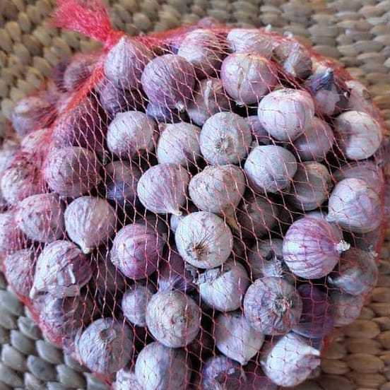 

Bawang Putih Tunggal Rasa Enak 1Kg