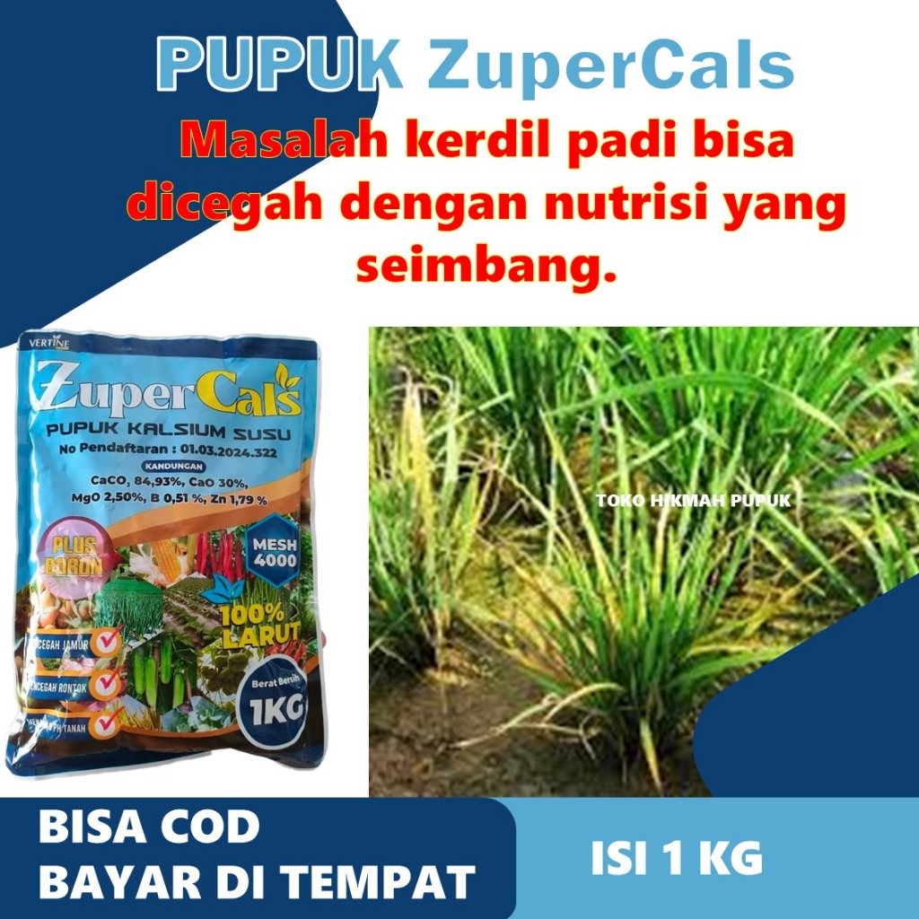 Zupercals Padi Hijau Subur – Obat Pupuk Cair Atasi Daun Kuning, Layu Daun, Kresek & Hawar Padi Untuk