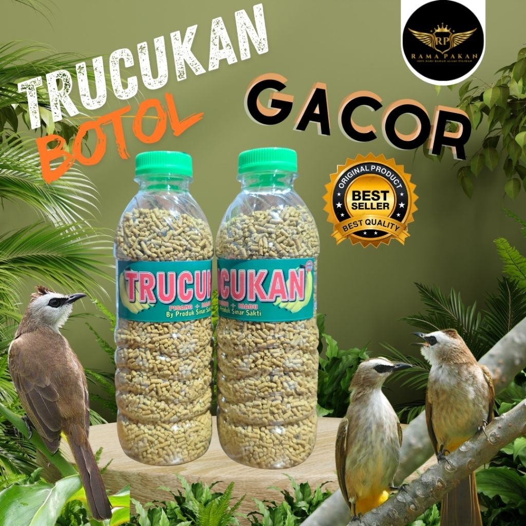 Trucukan Botol – Pakan Spesial untuk Burung Trucukan Gacor