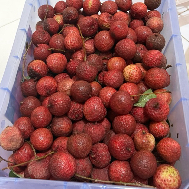 Leci Madu / Lychee Import / Buah Leci Fresh