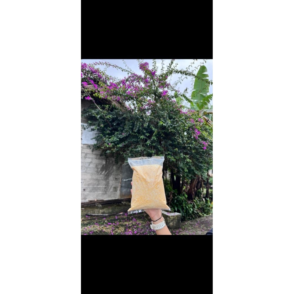 

Beras jagung instan RAJASTAN halus