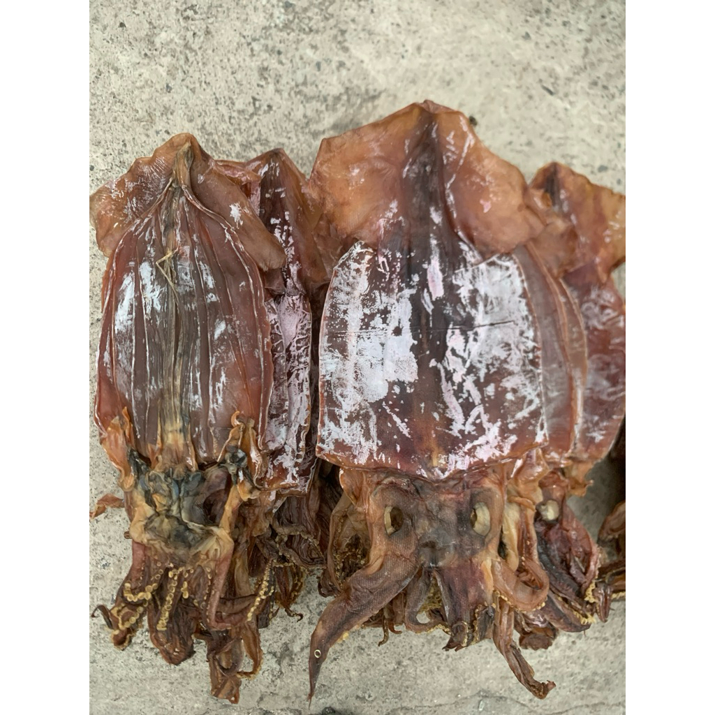 

cumi juhi kering tawar ukuran besar