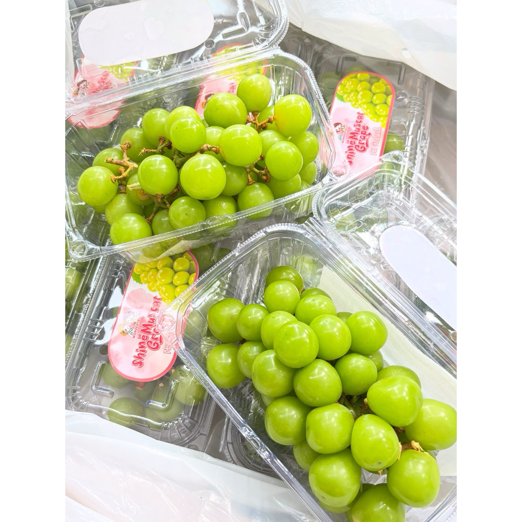 

‼️SIAP KIRIM‼️ANGGUR SHINE MUSCAT JUMBO 500GR