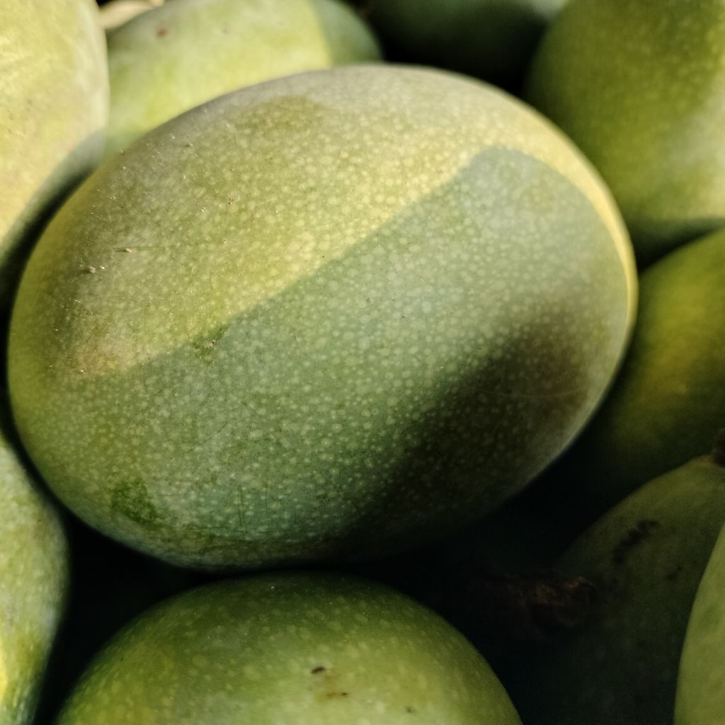 

Mangga Manalagi Pakel 500 Gram