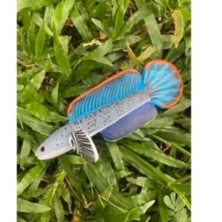 

kripik limbata merah