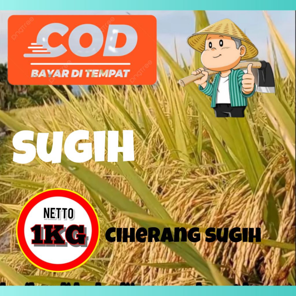 Benih bibit padi Ciherang sugih kmasan 1kg kualitas original
