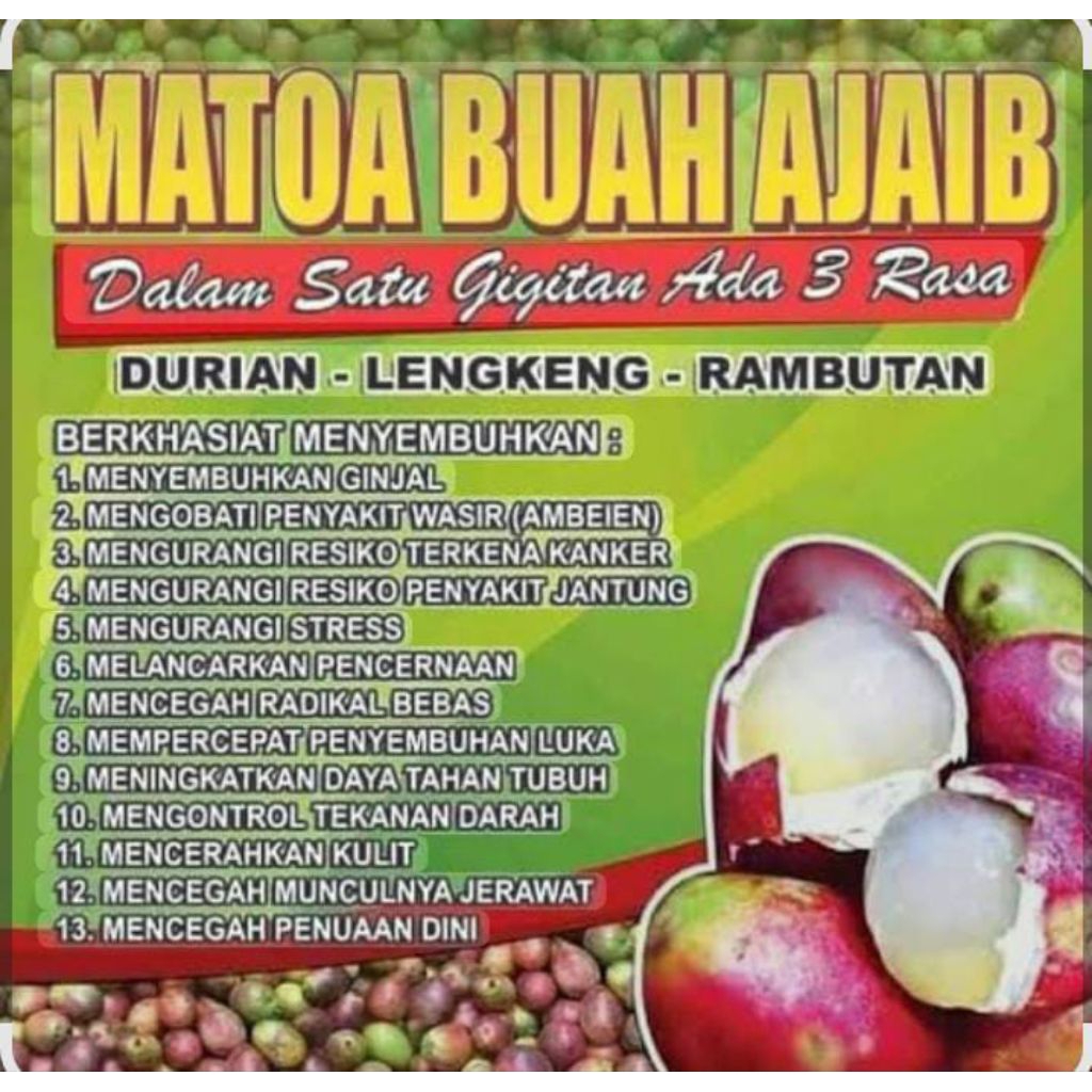 

buah matoa/buah ajaib