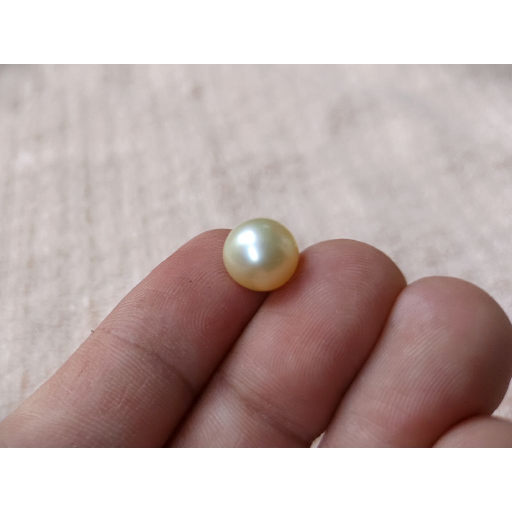 Butiran Mutiara Laut Gold