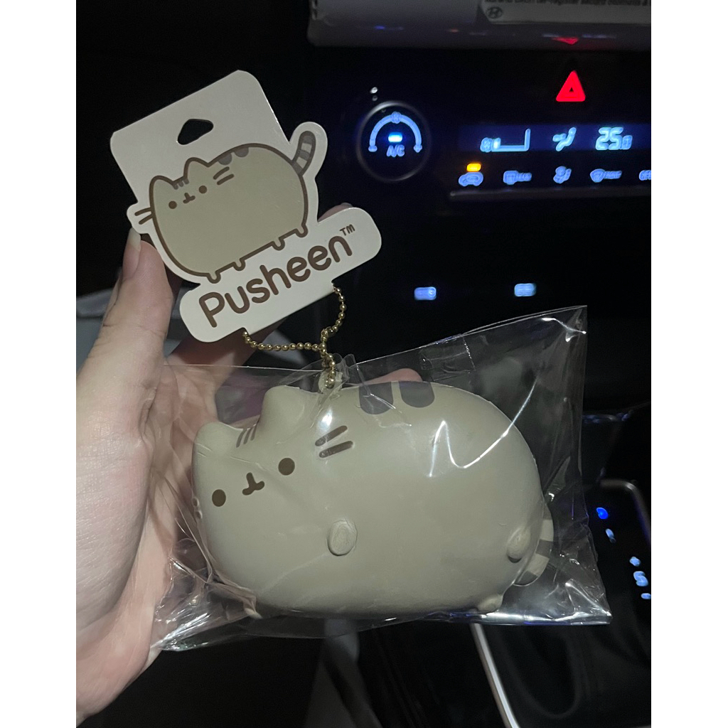 PUSHEEN SQUISHY