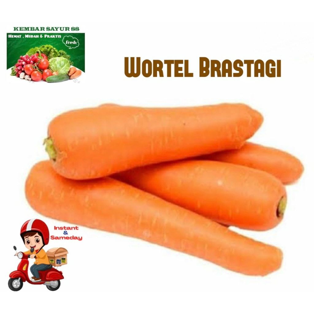 

Wortel Brastagi - kembarsayur88