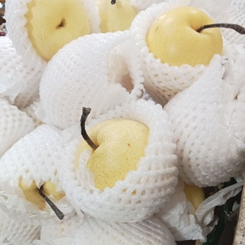 

PIR CENTURY SUPER MANIS FRESS