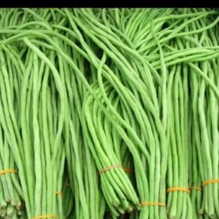 

kacang panjang 500gram