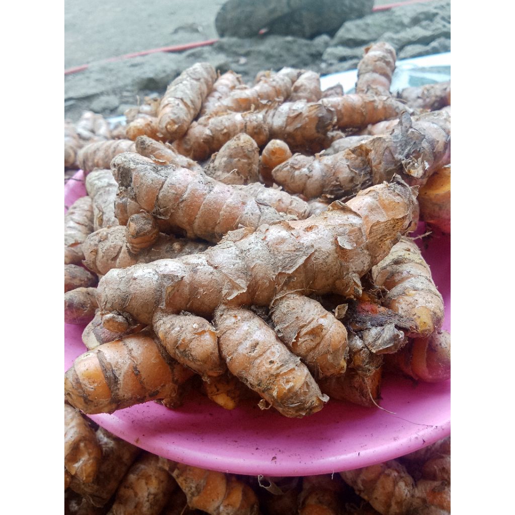 

Kunyit super Grade A+ segar dan fres 1kg