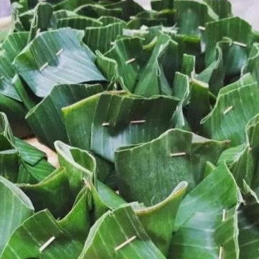 

TAPE KETAN LEGIT KHAS INDRAMAYU 25 PCS (pewarna alami daun Suji)