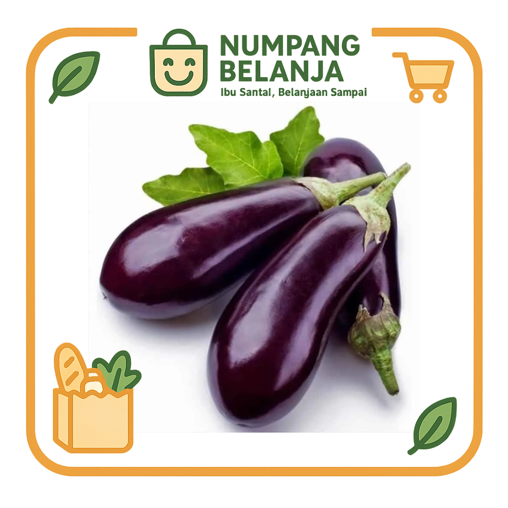 

terong ungu sayur fresh [500g]