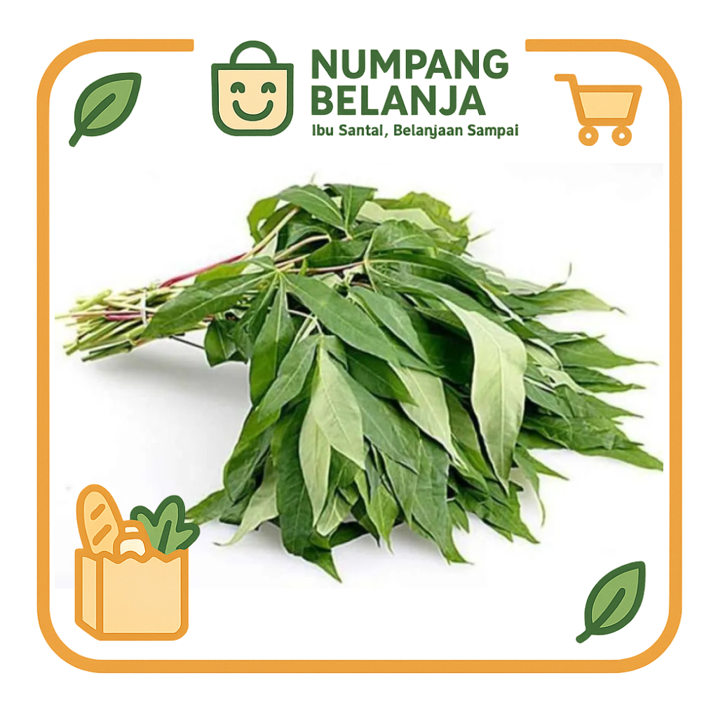 

daun singkong sayur fresh [200g]