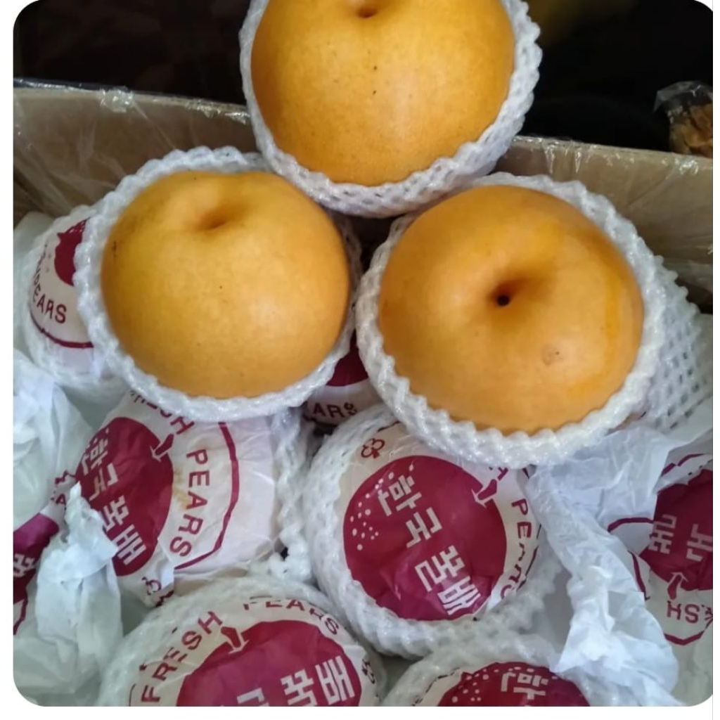 

Pear Coklat Korea Import
