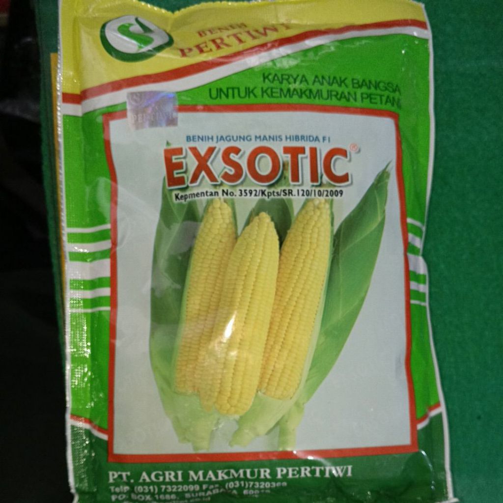 

Benih ibit jagung manis EXSOTIC F1 250 gram 250gr dari benih pertiwi jagung exsotic - exsotic 250gr