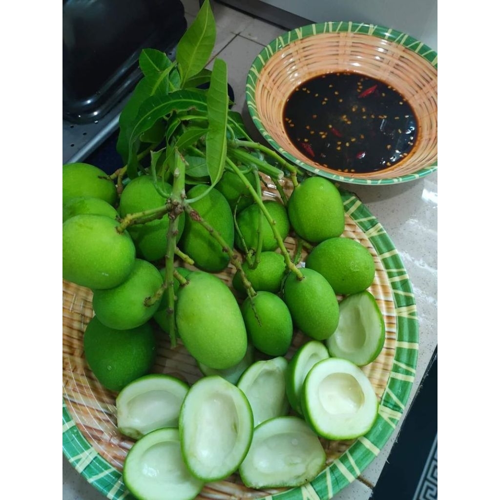 

MANGGA PAKEL MUDA 1KG RANDOM
