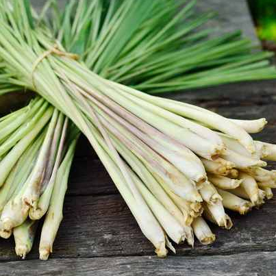 

SERAI Bangkok SEREH WANGI 1 kg Masih SEGAR Kualitas terbaik Untuk Masak