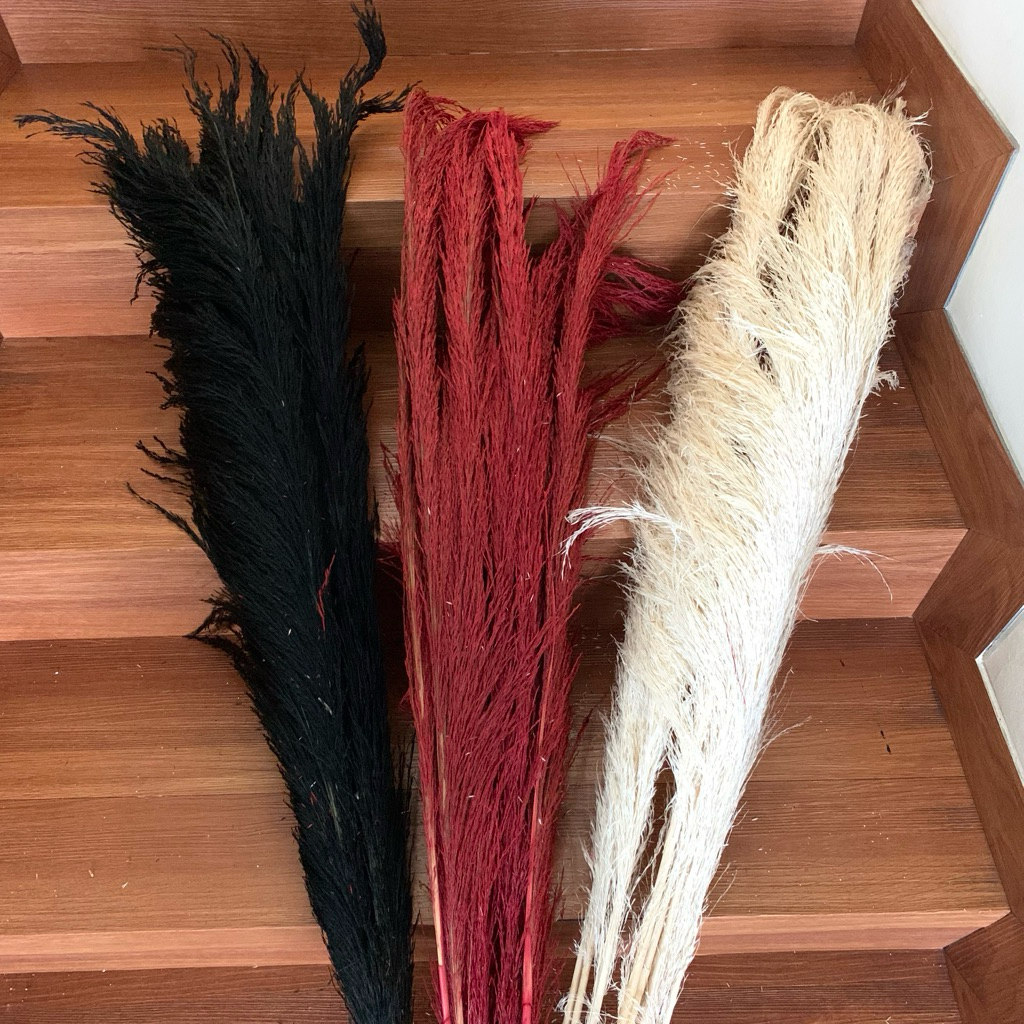 Preserved Flower Bulu Pampas Fern Fluff Premium Large size Florist Decor Dekorasi Bunga Kering Asli 