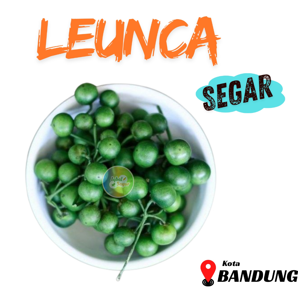 

Leunca Hijau Segar Bandung