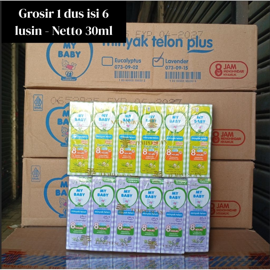 Grosir 1 dus isi 6 lusin | Minyak Telon My Baby Netto 30ml. - Tersedia Varian Eucalyptus & Lavender.