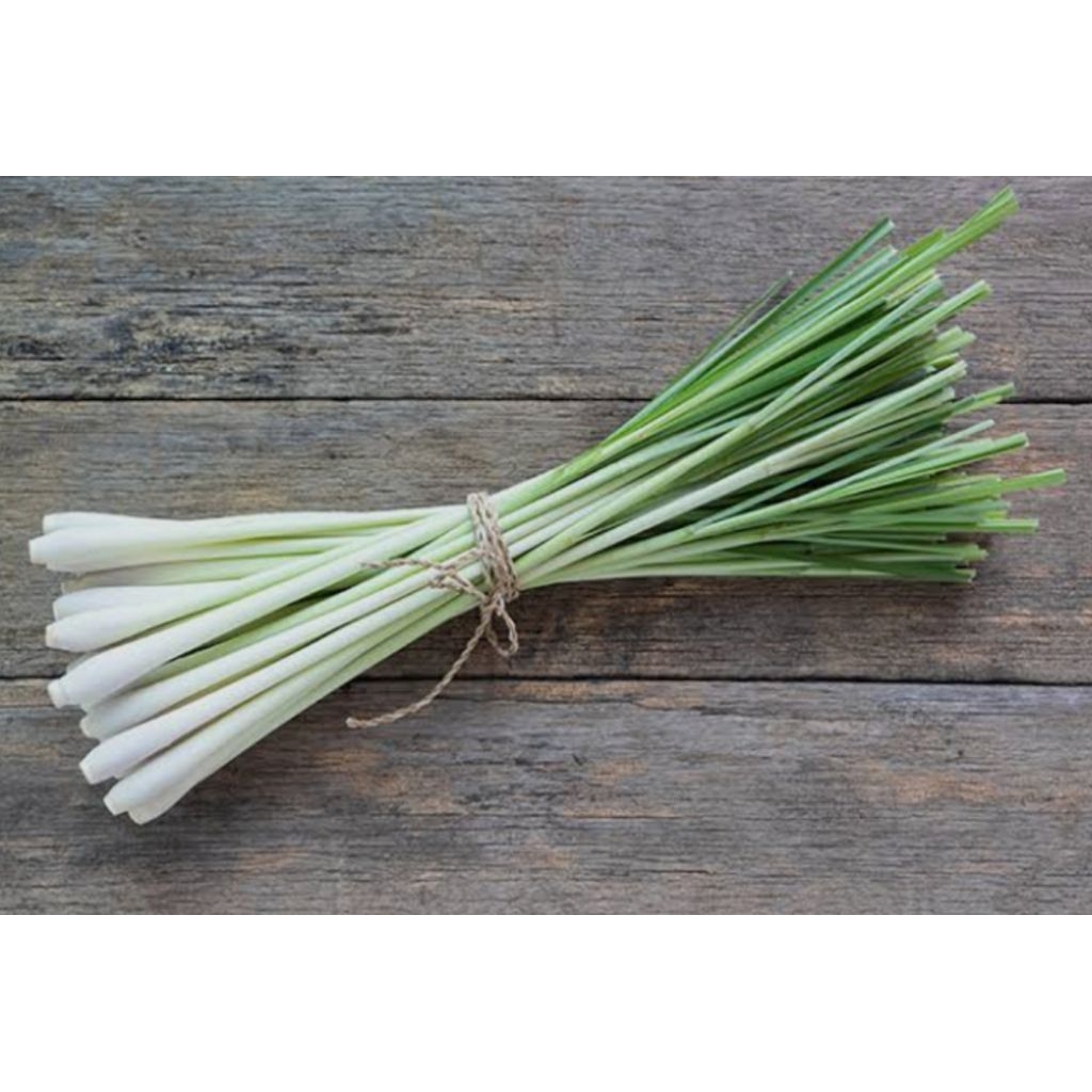 

DAUN SEREH 1 ikat isi 20