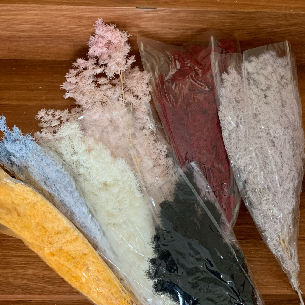 

Asparagus / pompadour preserved Premium flower