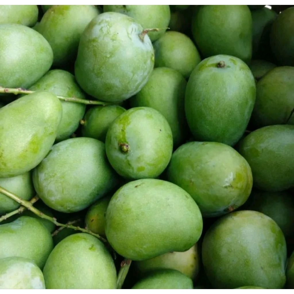 

Mangga muda mangga rujak